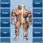 JEFIT Workout, Fitness, GymLog Android app Review