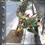Flash Hero App for iPhone Review