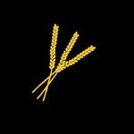 Gluten Free App for iPhone Review