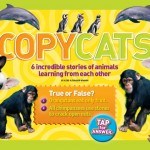 National Geographic Kids App Review