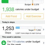 Lose It! App for iPhone Review