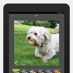 Dogly Android App Review