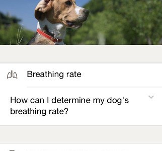 Pet First Aid by American Red Cross iPhone App Review