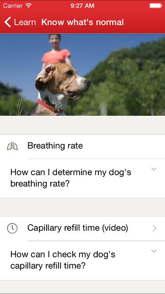 Pet First Aid by American Red Cross iPhone App Review