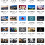 Zoolz Viewer Android App Review