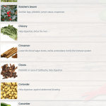 Natural Remedies Android App Review