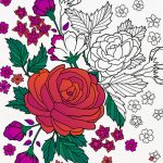 Colorfy Coloring Book for Adults iPhone App Review