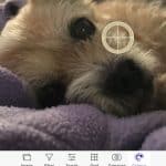 Arty iPhone App Review