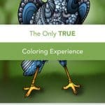 Pigment – Adult Coloring Book iPhone App Review