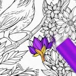 InColor Coloring Books Android App Review