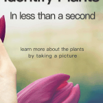 Picture This – Plant Identification Android App Review