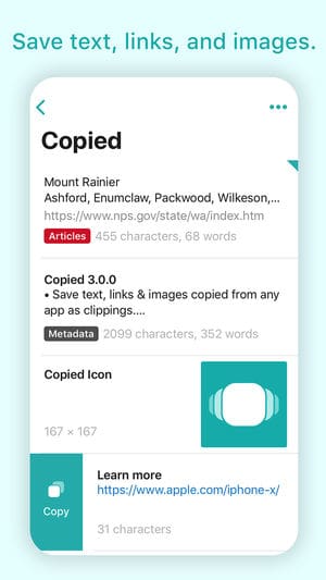 Copied iPhone Clipboard Manager App