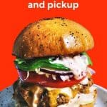 DoorDash Food Delivery Android App Review