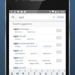 Dictionary Linguee Android App Review